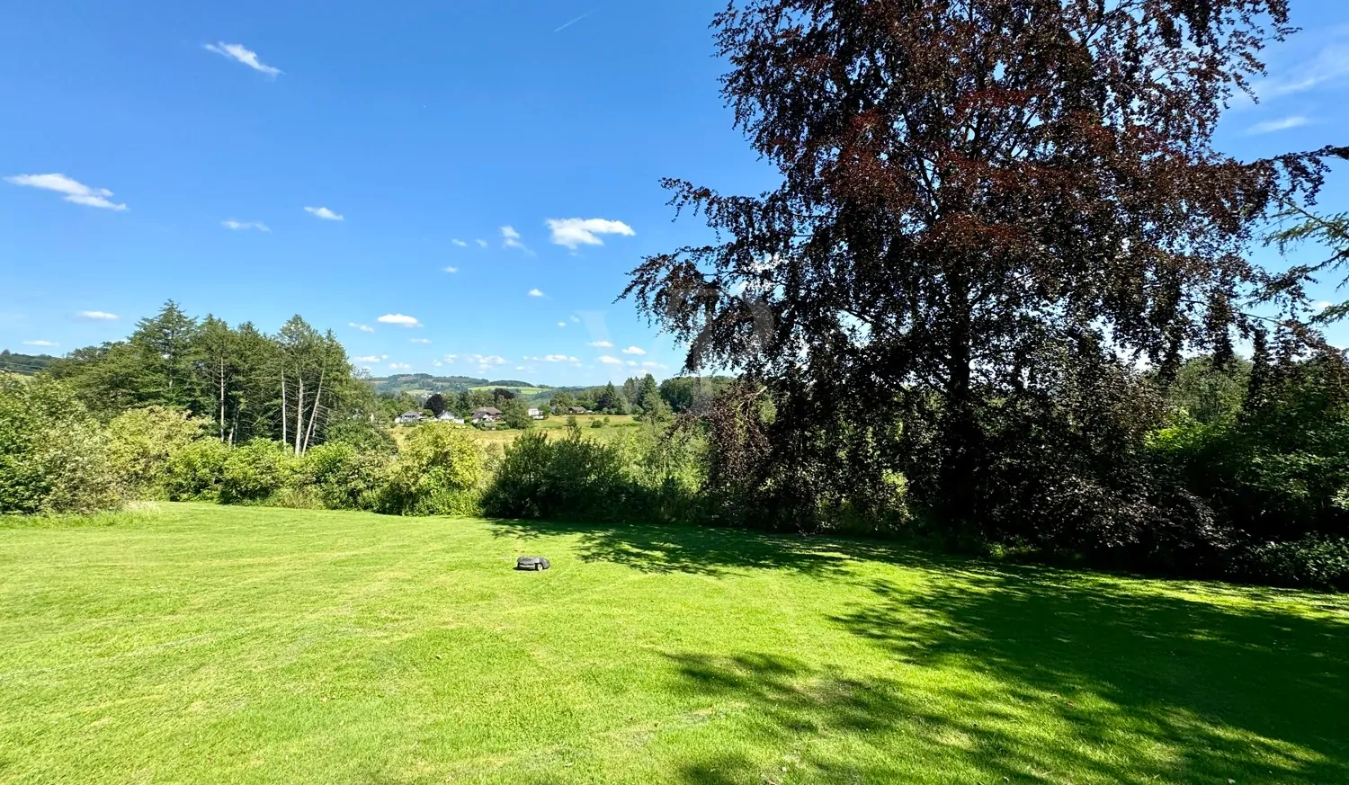 EFH in Traumhafter Lage