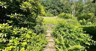 von_poll_real_estate_property_24131018_image_19