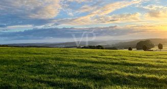 von_poll_real_estate_property_24131048_image_4