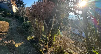 von_poll_real_estate_property_25131010_image_10