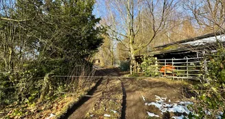 von_poll_real_estate_property_25131012_image_9