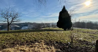 von_poll_real_estate_property_25131012_image_11