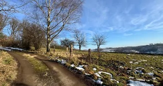 von_poll_real_estate_property_25131012_image_6