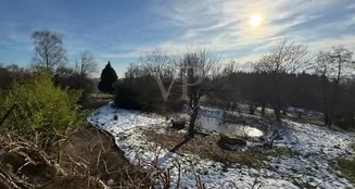 von_poll_real_estate_property_25131012_image_12