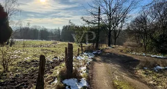 von_poll_real_estate_property_25131012_image_13