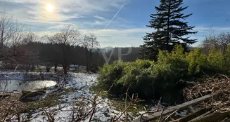 von_poll_real_estate_property_25131012_image_14