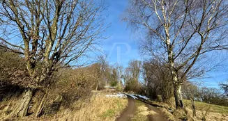 von_poll_real_estate_property_25131012_image_7