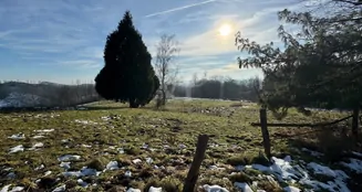 von_poll_real_estate_property_25131012_image_8