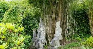 von_poll_real_estate_property_25131028_image_6