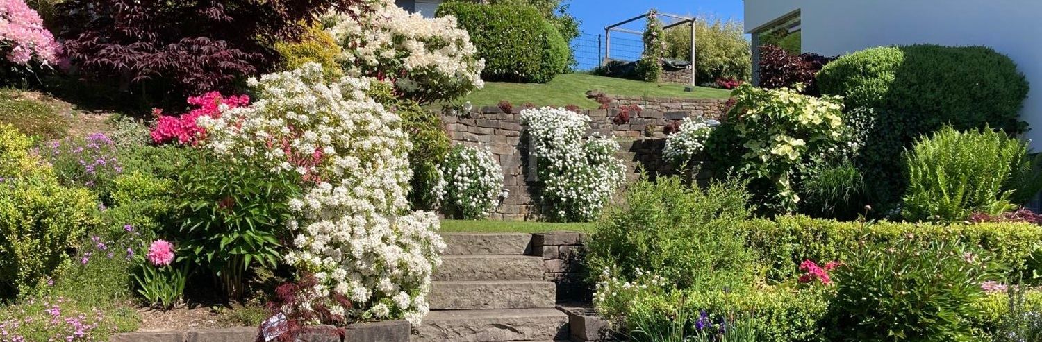 Garten in Blüte