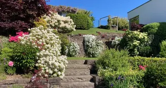 von_poll_real_estate_property_25131028_image_7