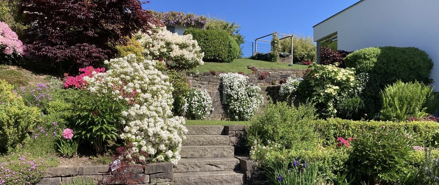 Garten in Blüte