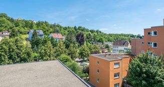 von_poll_real_estate_property_25079018_image_8