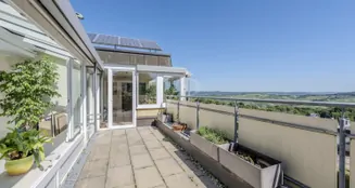 von_poll_real_estate_property_25079035_image_12