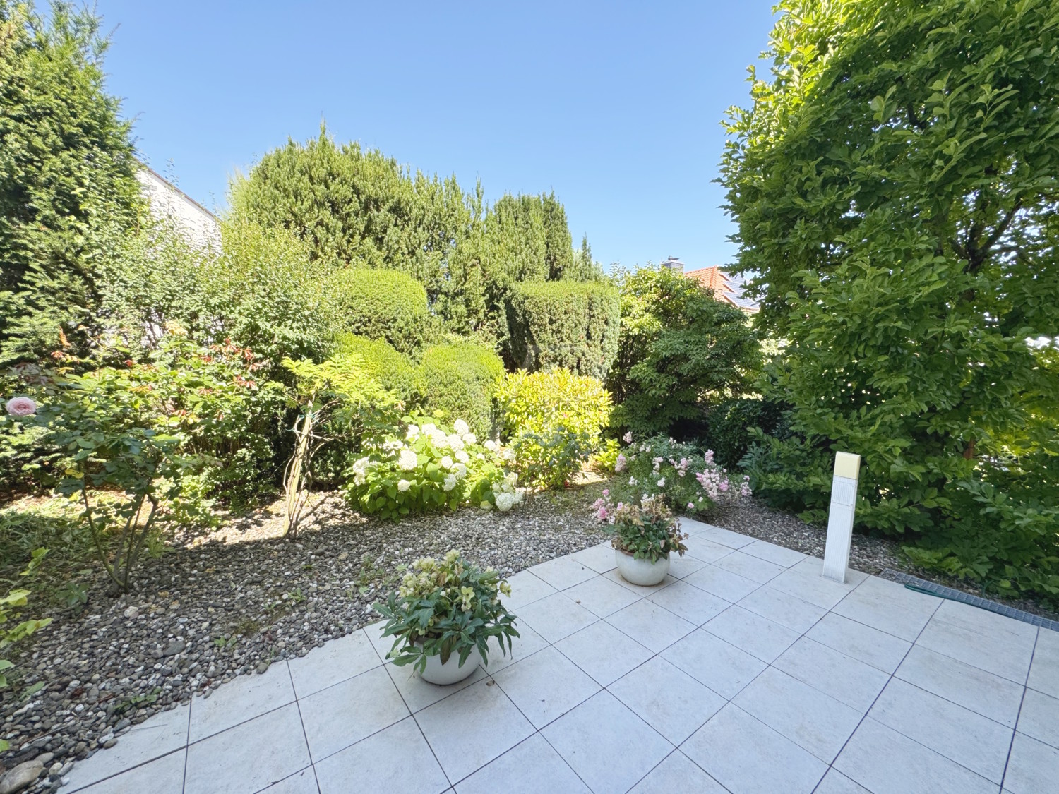 Garten / Terrasse