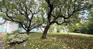 von_poll_real_estate_property_25082095a_image_0