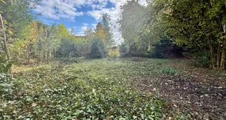 von_poll_real_estate_property_25082119_image_1