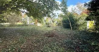 von_poll_real_estate_property_25082119_image_2