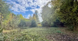 von_poll_real_estate_property_25082119_image_0