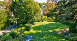 von_poll_real_estate_property_25082122_image_3