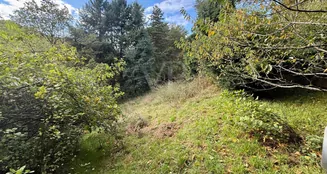 von_poll_real_estate_property_25082129a_image_3