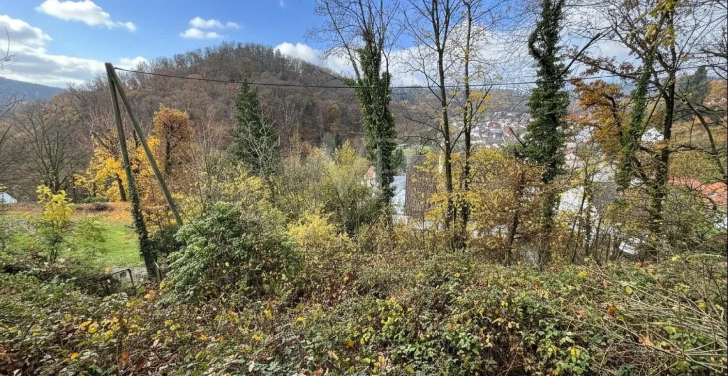 Schönes Baugrundstück in Blicklage