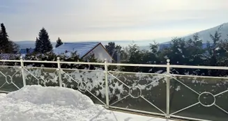 von_poll_real_estate_property_26082017_image_4