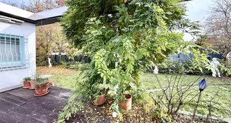 von_poll_real_estate_property_25082095c_image_11