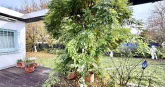 von_poll_real_estate_property_25082095c_image_11