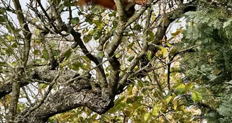 von_poll_real_estate_property_25082095d_image_9