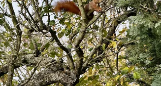 von_poll_real_estate_property_25082095d_image_9