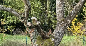 von_poll_real_estate_property_25082095d_image_10