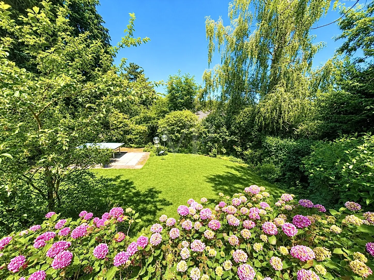 Blick in den Garten