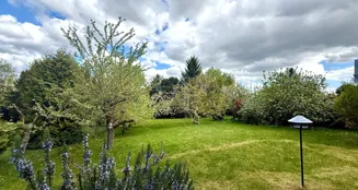 von_poll_real_estate_property_26082055a_image_5