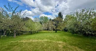 von_poll_real_estate_property_26082055a_image_4