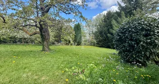 von_poll_real_estate_property_26082055a_image_3