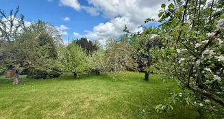 von_poll_real_estate_property_26082055a_image_2