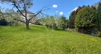 von_poll_real_estate_property_26082055a_image_1