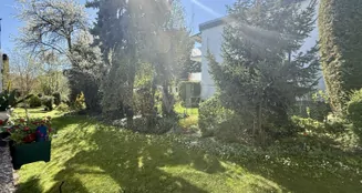 von_poll_real_estate_property_26082049_image_1
