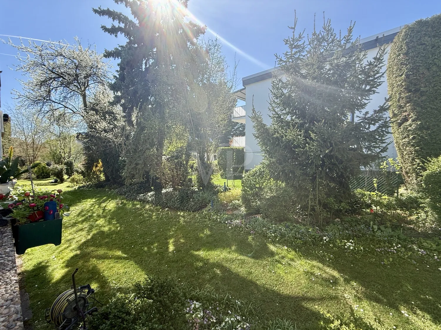 Gemeinschaftsgarten