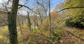 von_poll_real_estate_property_25082141_image_0