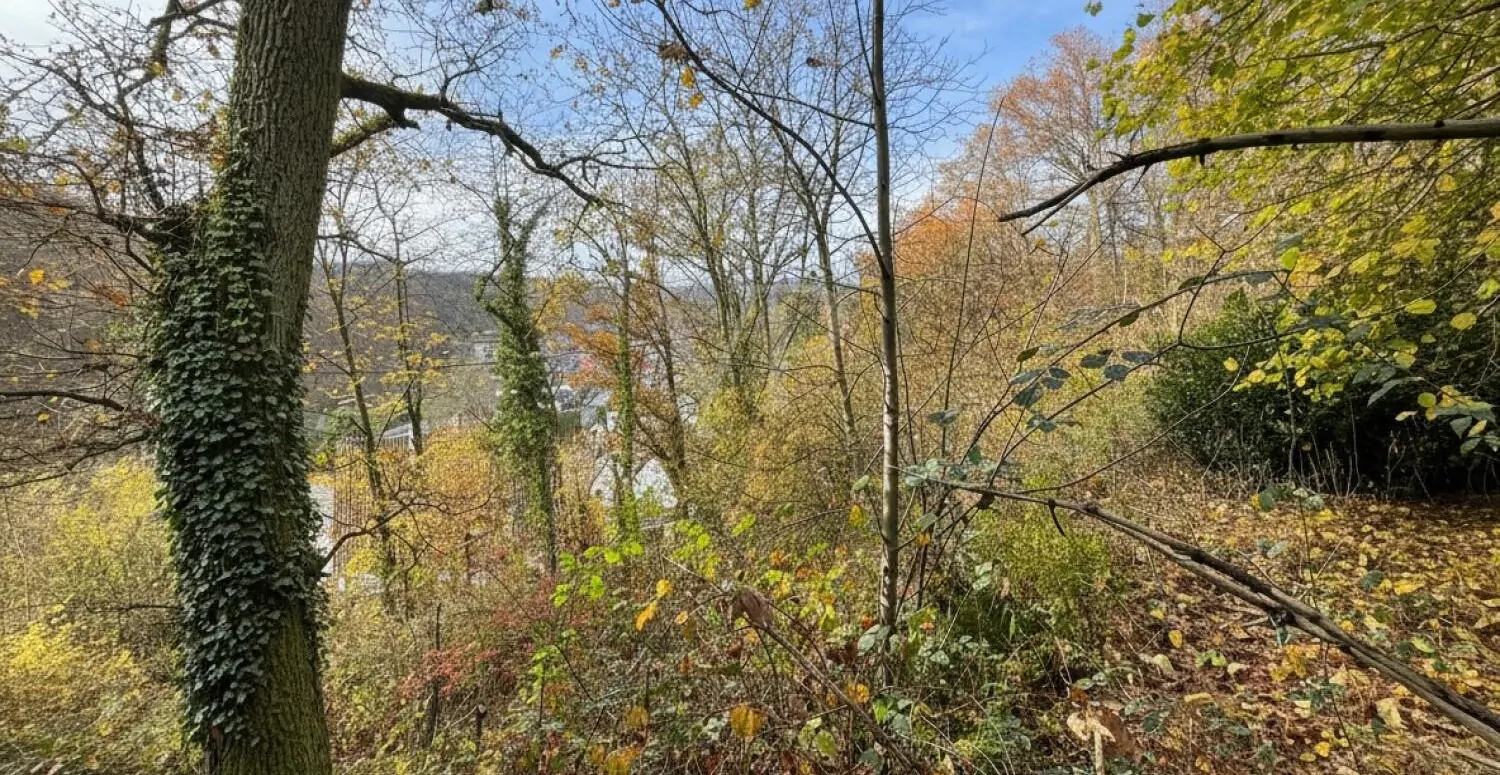 Attraktives Baugrundstück in Blicklage