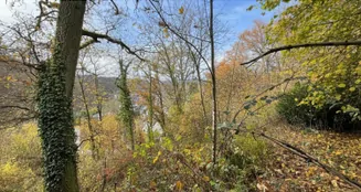 von_poll_real_estate_property_25082141_image_0