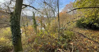 von_poll_real_estate_property_25082141_image_1