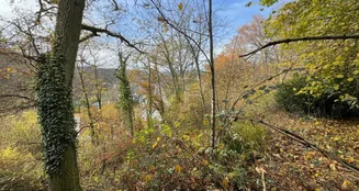 von_poll_real_estate_property_25082141_image_1