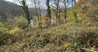 von_poll_real_estate_property_25082141_image_2