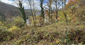 von_poll_real_estate_property_25082141_image_2