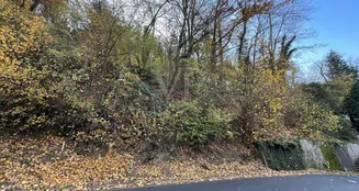 von_poll_real_estate_property_25082141_image_4