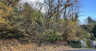 von_poll_real_estate_property_25082141_image_4