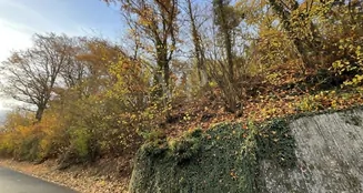 von_poll_real_estate_property_25082141_image_3